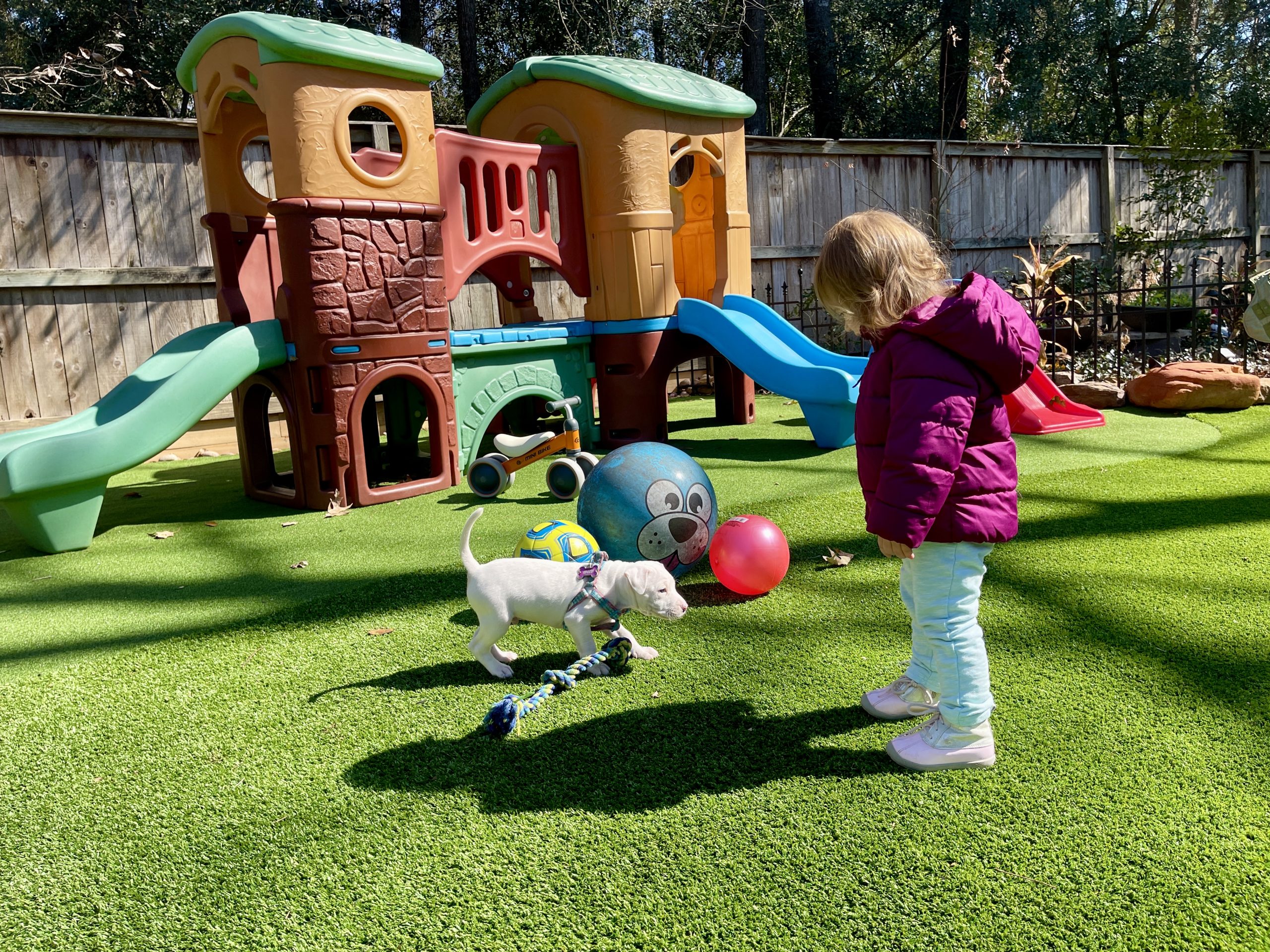 Child and small dog playing on artificial grass beside a backyard playset
