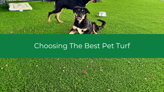 Choosing The Best Pet Turf