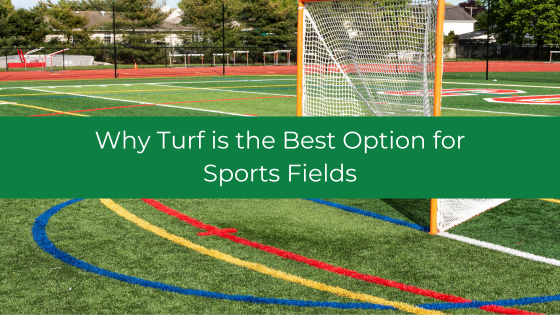 Why Turf is the Best Option for Sports Fields