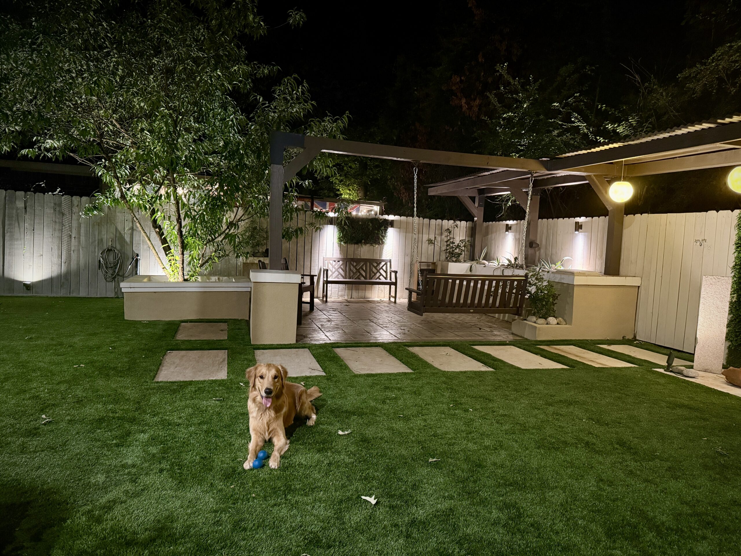 Golden retriever resting on a pollen-free artificial grass lawn in a backyard at night
